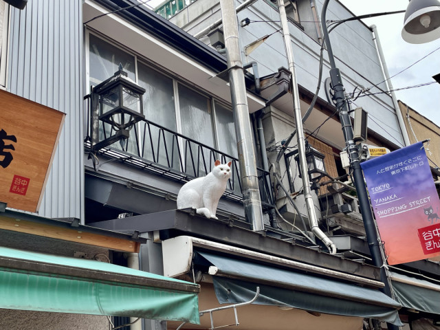 【決定版】谷中散歩コース 家族・子どもで楽しめるおすすめお店&スポット下町散歩まとめ